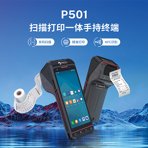 P501（500）